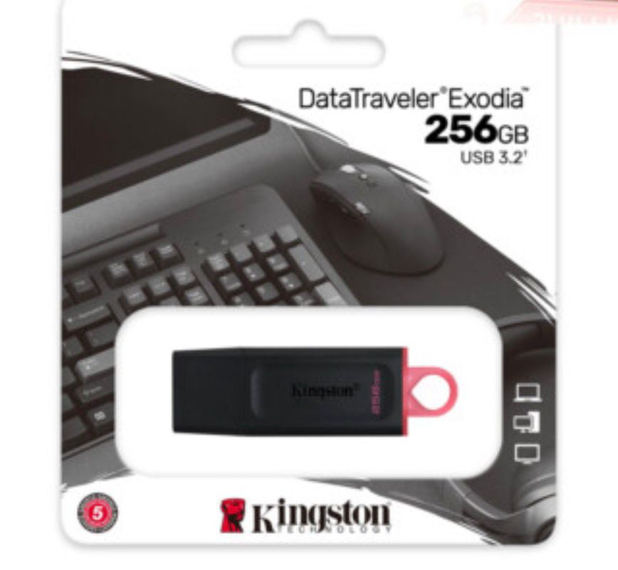 flash kingston -256g
